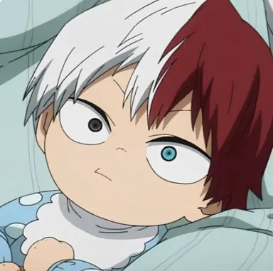Profile image of Shoto Todoroki