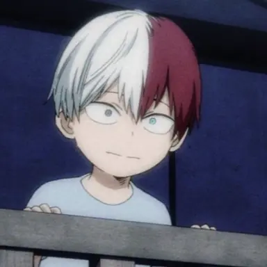 Profile image of Shoto Todoroki