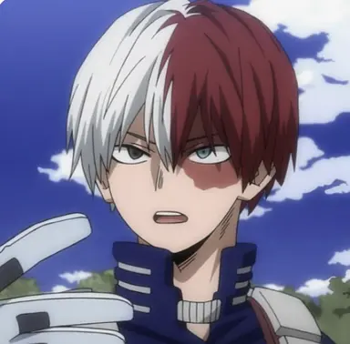 Profile image of Shoto Todoroki