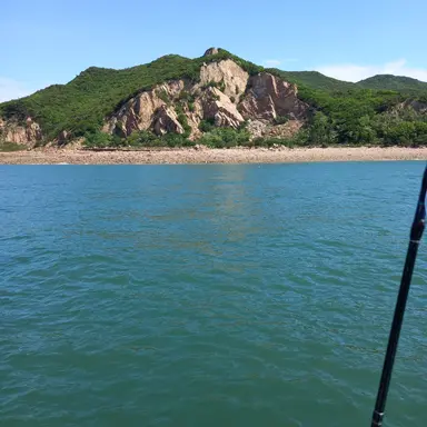Profile image of 멜로우