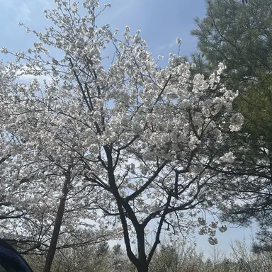 Profile image of 소개팅 주최자