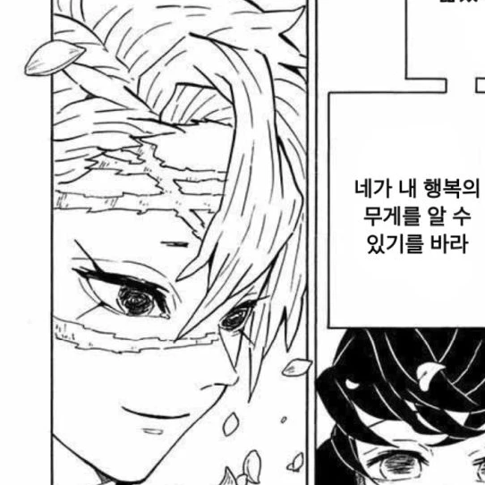 시나즈가와 사네미