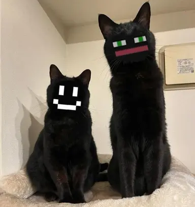 Profile image of トゥイクセル