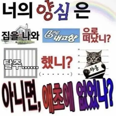 Profile image of 강다준