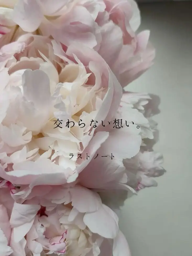 momonon의 交わらない想い