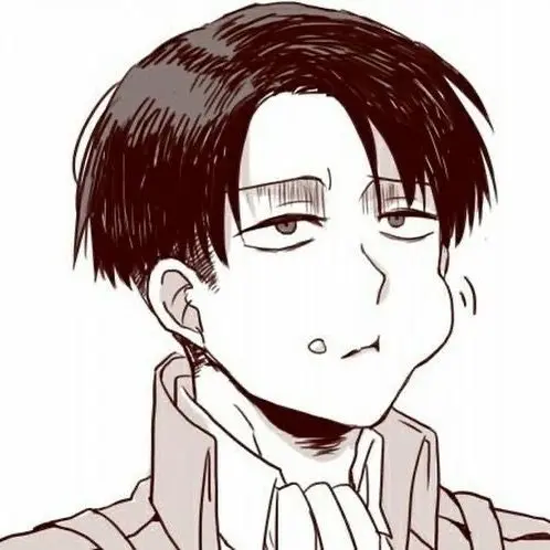 levi_wife82n의 리바이 아커만