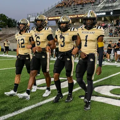 Profile image of Walk Down Gang