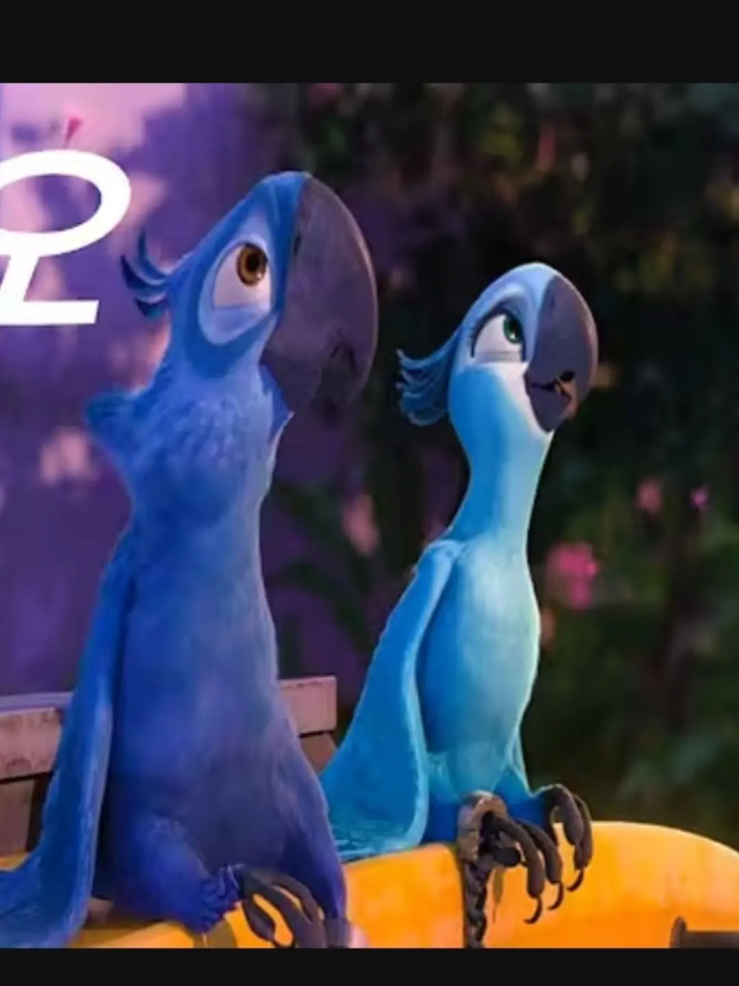 AwareTang1517의 리오.  다만늑대랑여우가 있다....