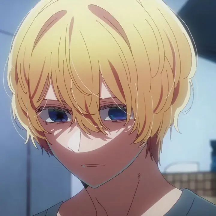 BruteTowel9523의 推しの子