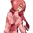 미츠바