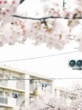 GrimDryer3810의 じゃーんぬ