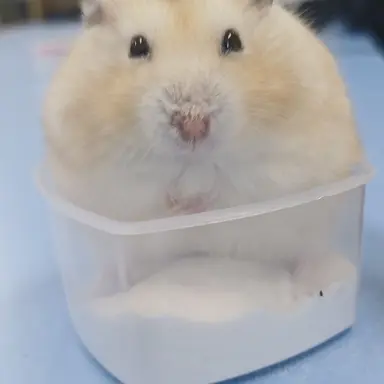 Profile image of 라떼