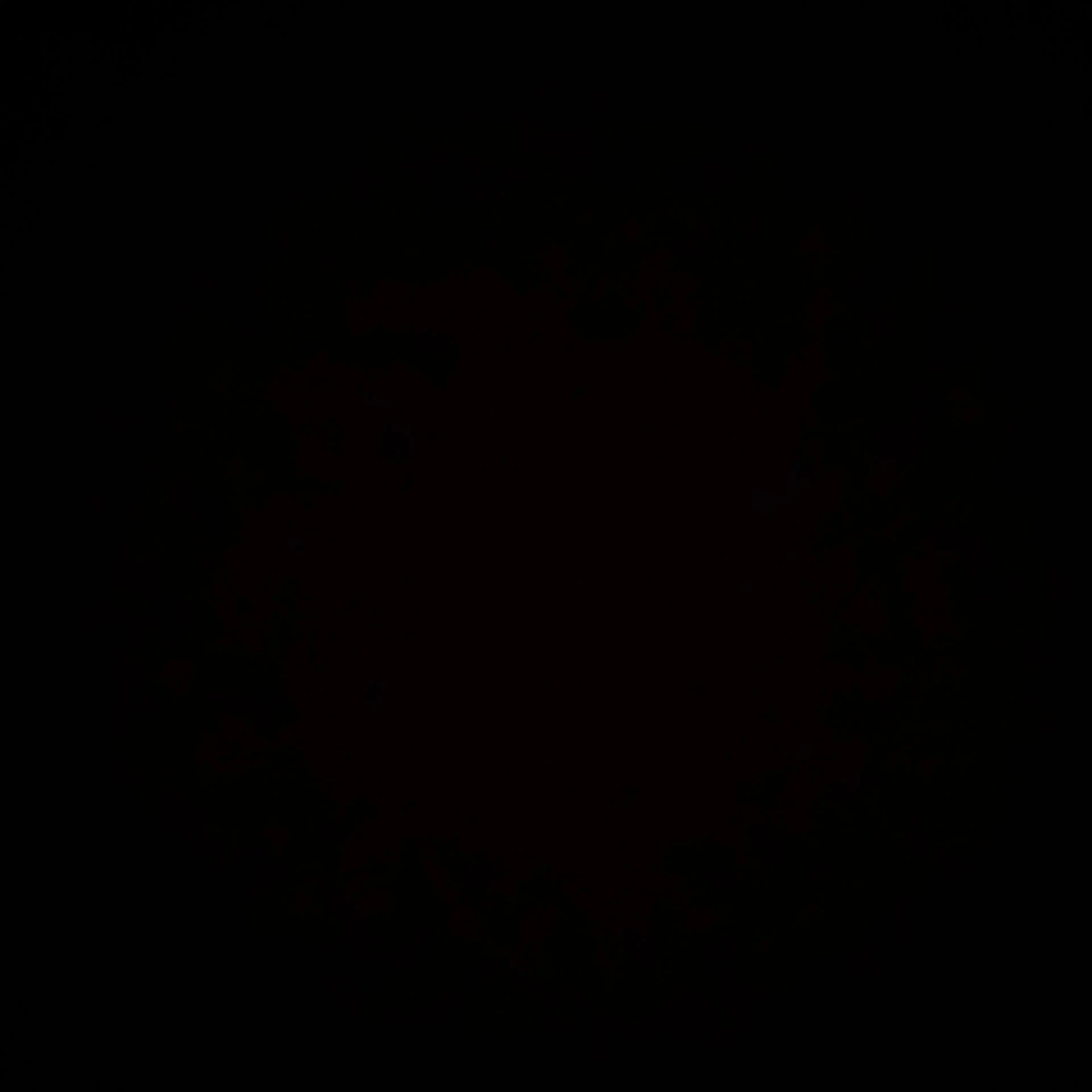 Nicegirl의 백도화