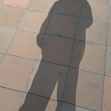 Profile image of ブリ子