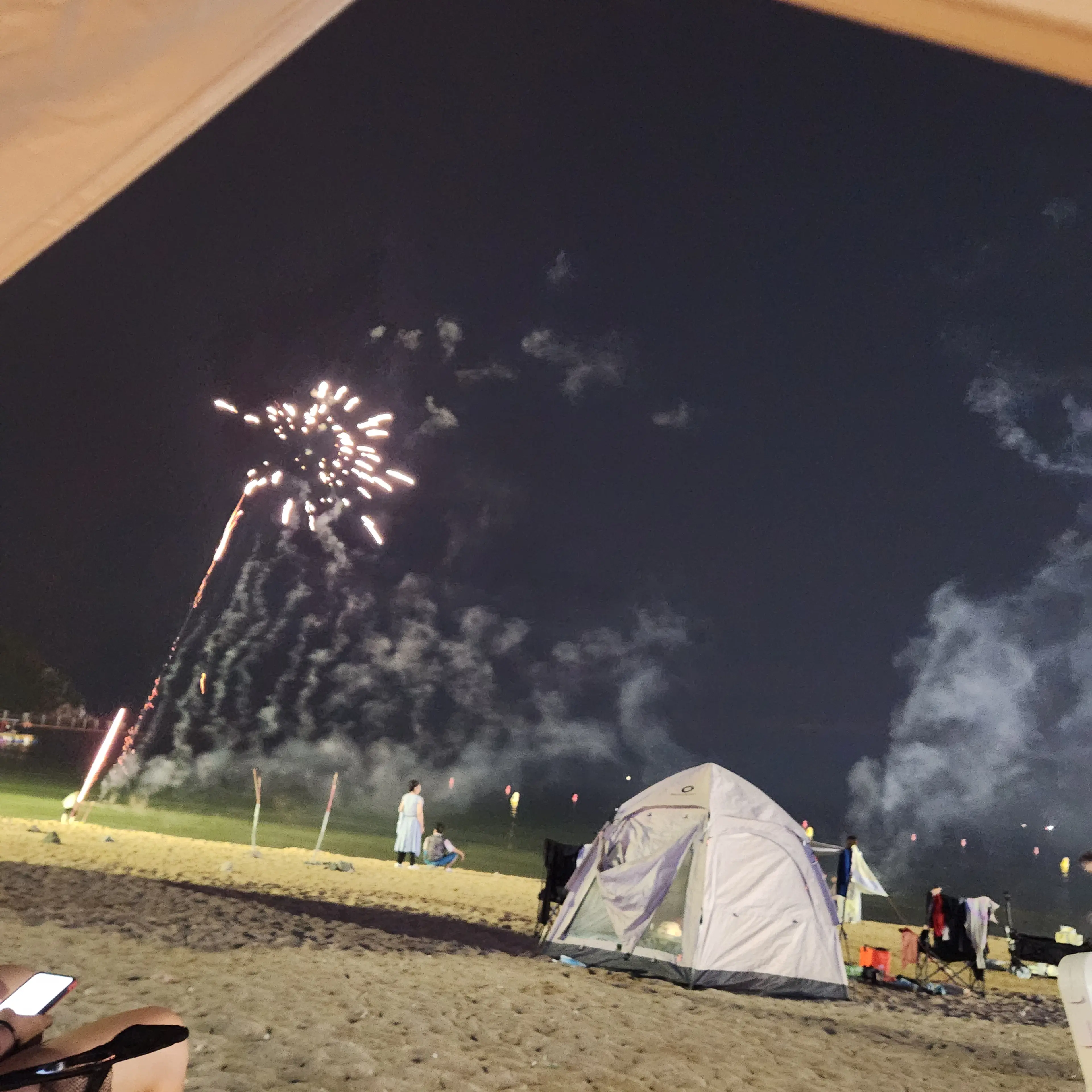 TimelyThigh9373의 사자 보이즈