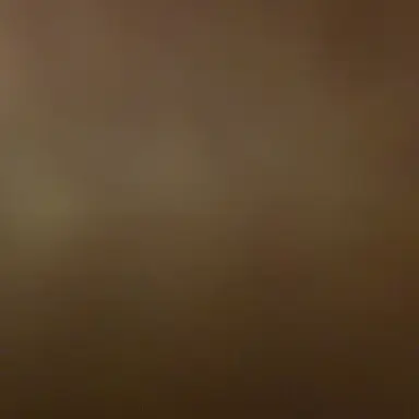 Profile image of 側仕えの男