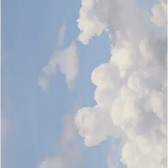 Profile image of 잠뜰