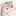 햄찌🐹