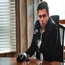 Profile image of Vincent Rossi