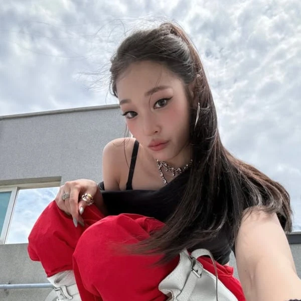 애니