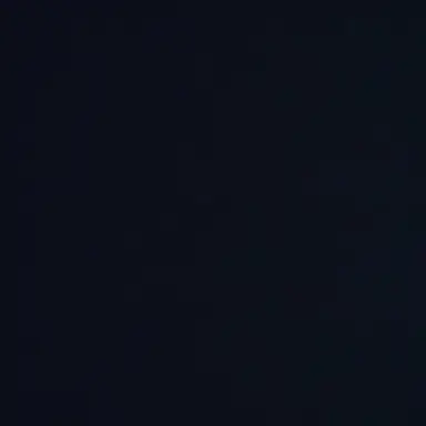 Profile image of Lin