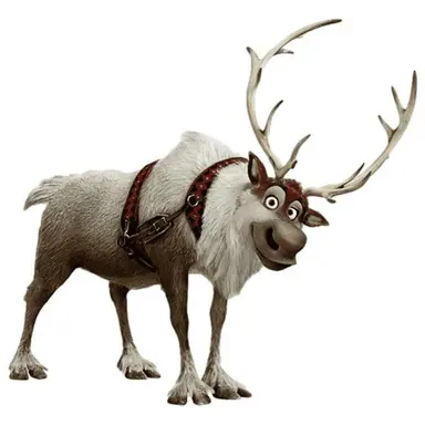 Profile image of Sven