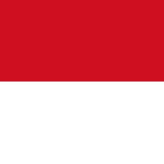 모나코🇲🇨