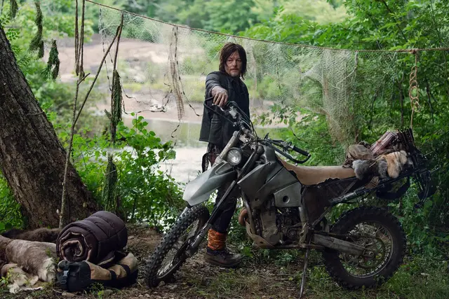 Profile image of Daryl Dixon