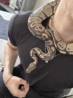 Profile image of Keelan