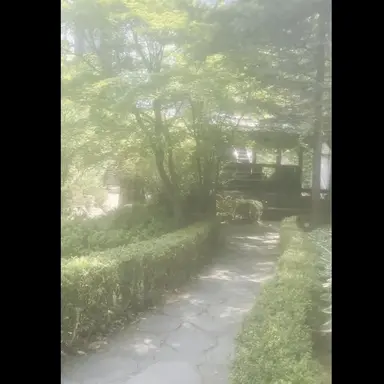 Profile image of 황새미