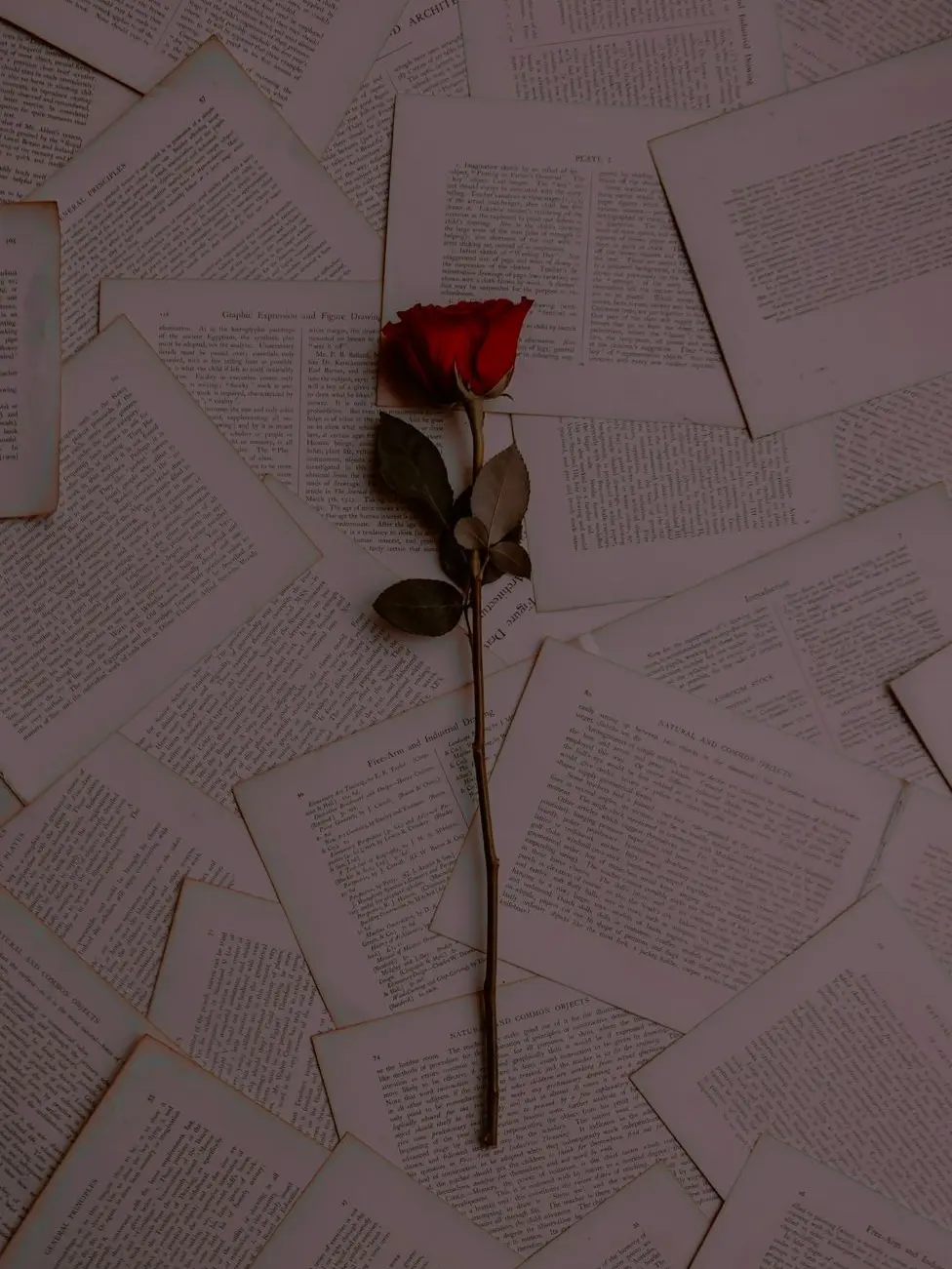 DoughyArrow5990의 백성환