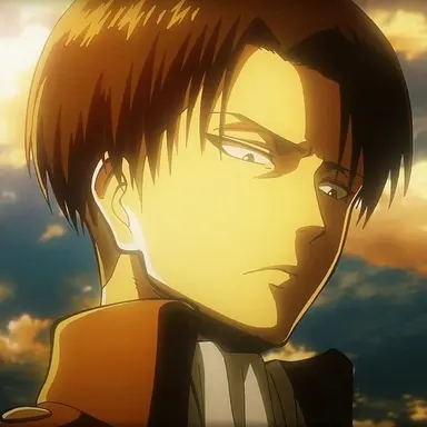 Profile image of Levi Ackerman