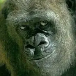 Profile image of 한소율