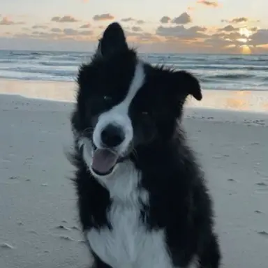 Profile image of Lilly