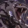 Profile image of ヨルム