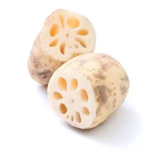 Corazzong의 연근크루