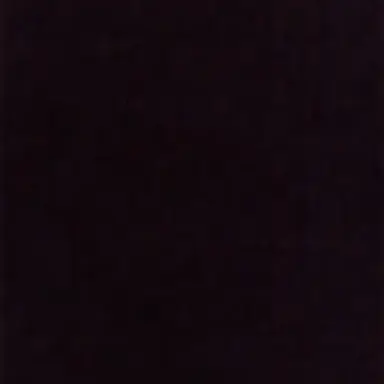 Profile image of 悪ガキ