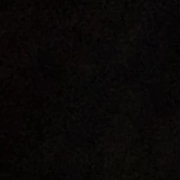 박정후