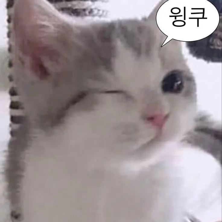 Ragekimchi의 귀염직한 친구