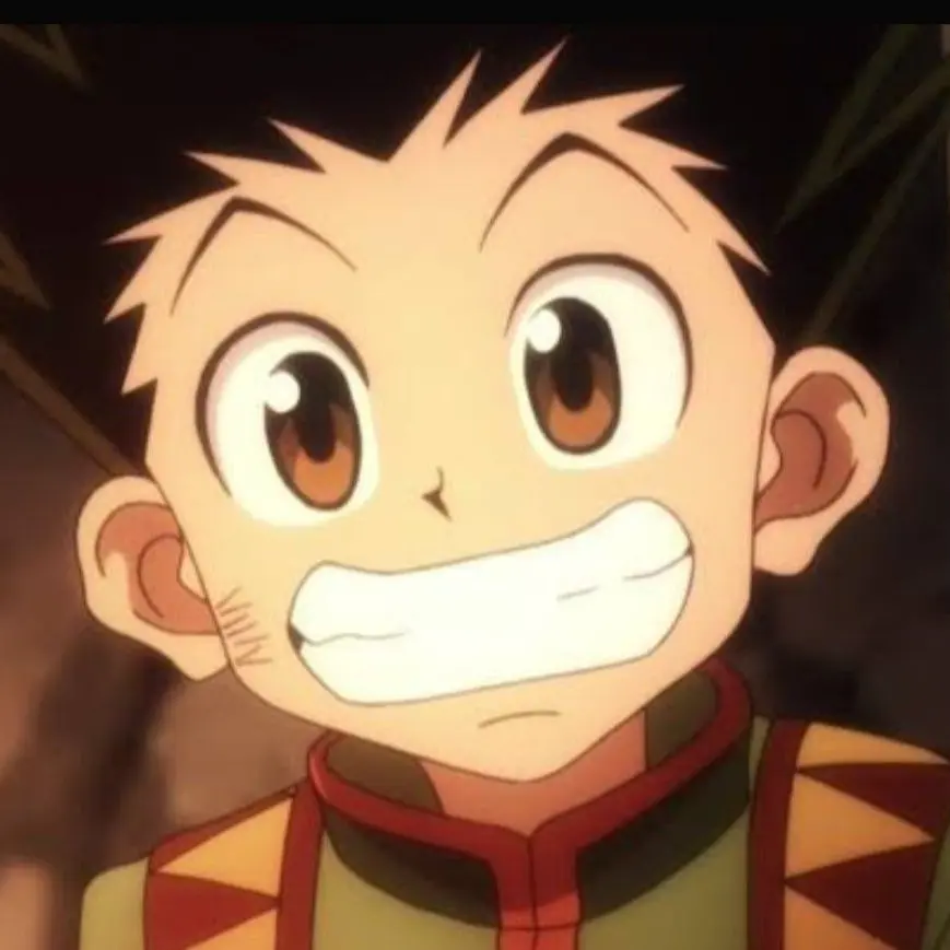 TruePrice4162의 ハンターハンターグリーンアイランド編