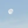 Profile image of 星導ショウ
