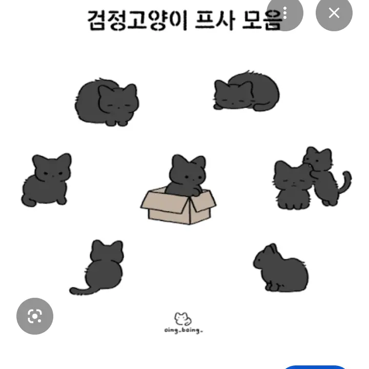 IdlePlane5165의 고양이 집사?!