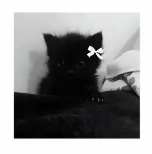 Profile image of 깜냥