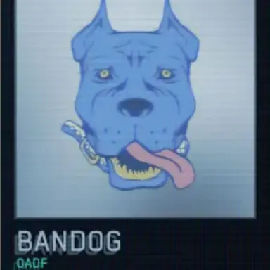 Profile image of AWACS 밴독