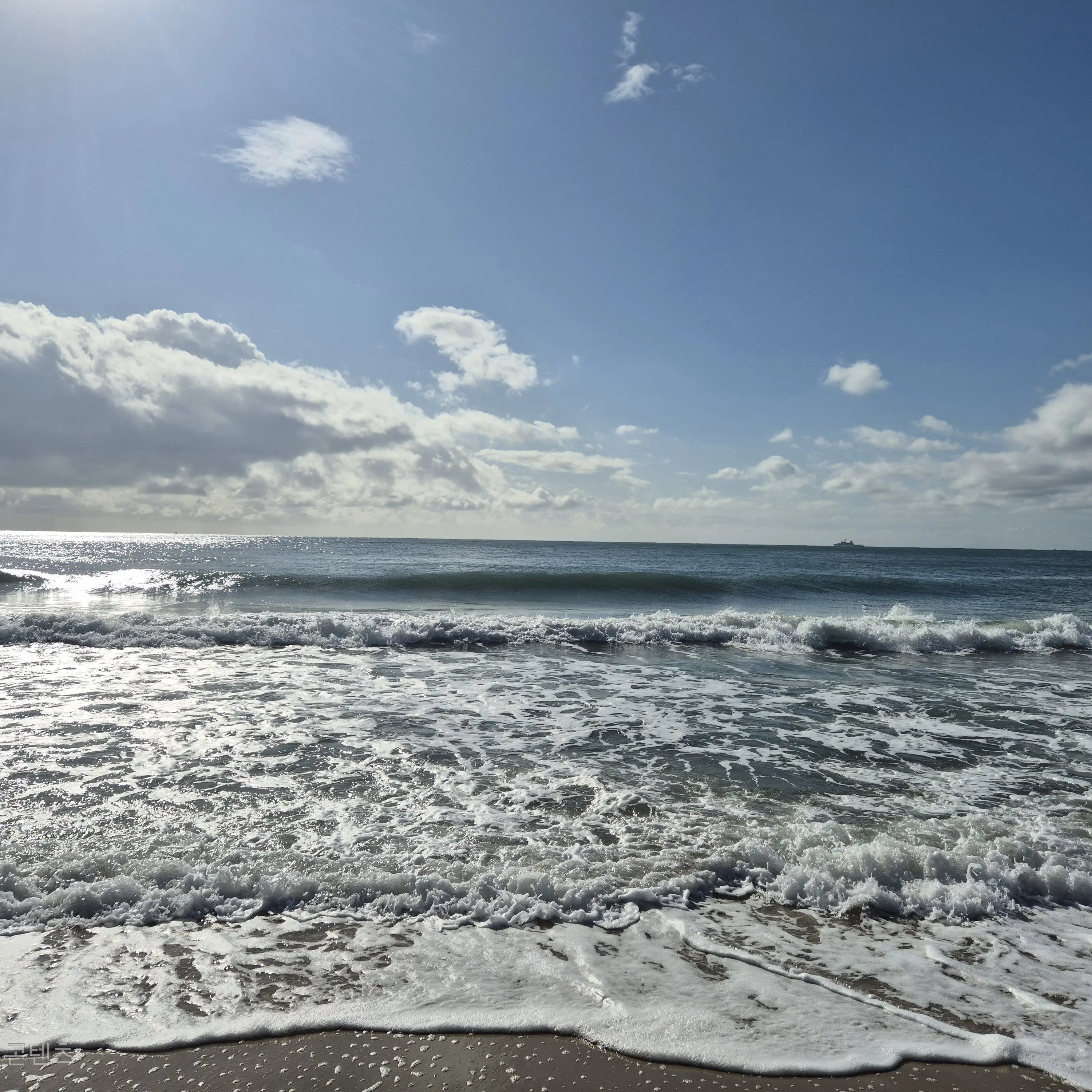 DecentSigh7320의 산나비-백대령의 동생