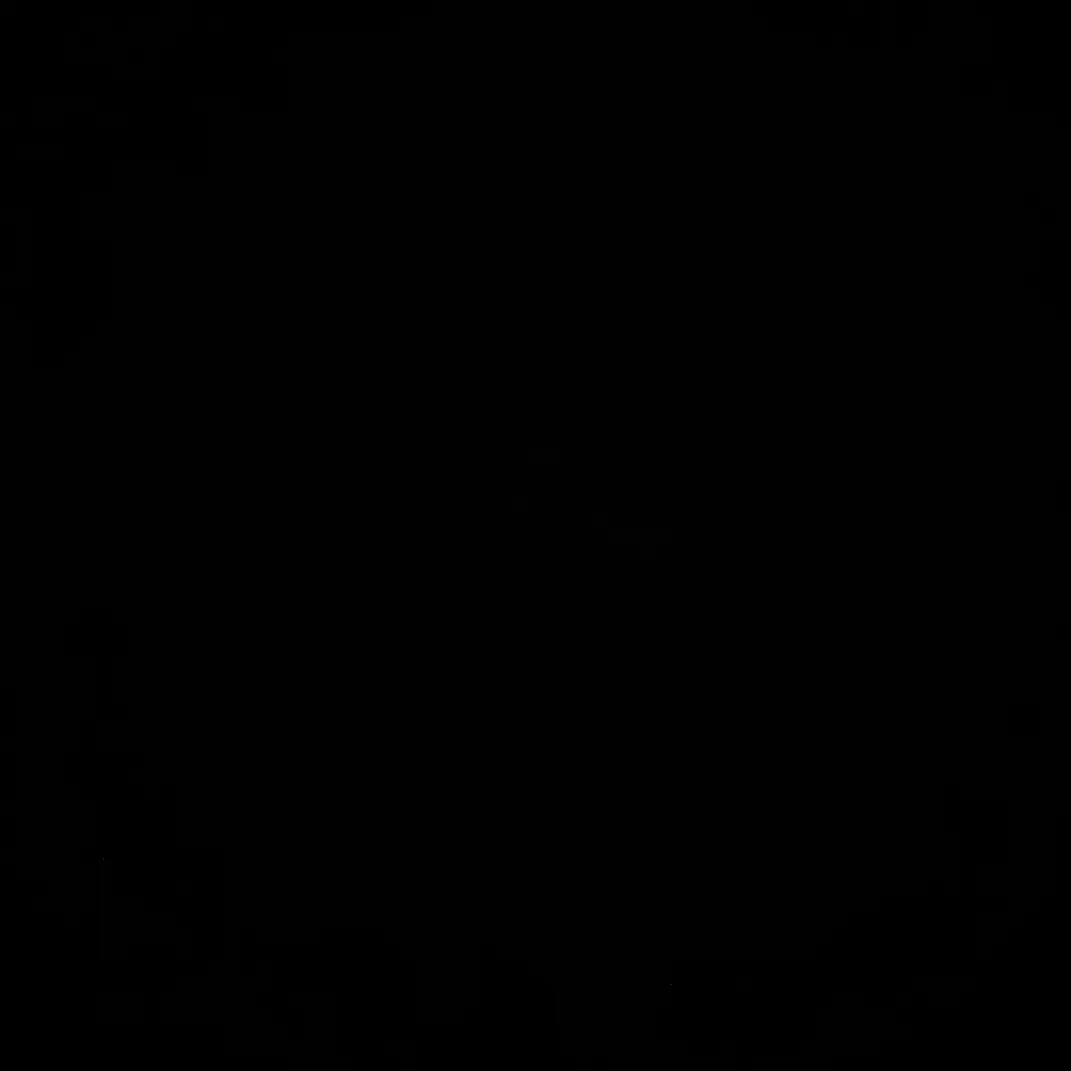 RiskyElk2128의 친동생 김운햑