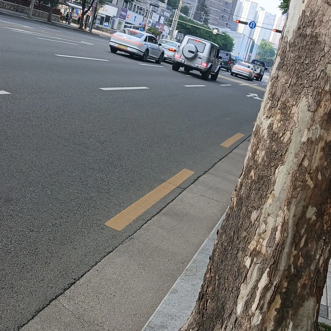 BouncyDecal5858의 납치녀