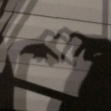 Profile image of シオン