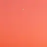 Profile image of チーノ
