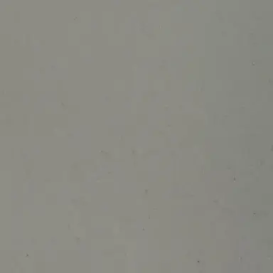 Profile image of 조우안신